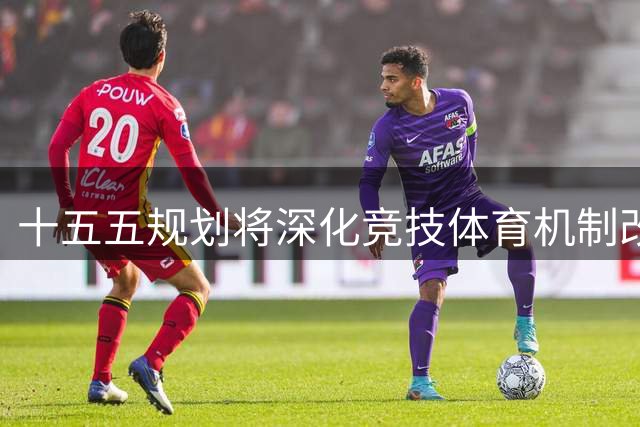 十五五"规划将深化竞技体育机制改革